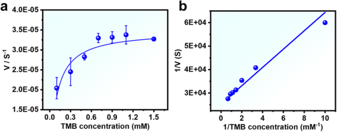 Ultrathin Palladium Nanozymes: Light-Activated Peroxidase Mimicry for Precision Catalysis