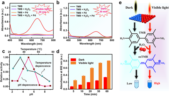Ultrathin Palladium Nanozymes: Light-Activated Peroxidase Mimicry for Precision Catalysis