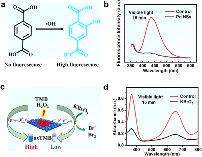Ultrathin Palladium Nanozymes: Light-Activated Peroxidase Mimicry for Precision Catalysis