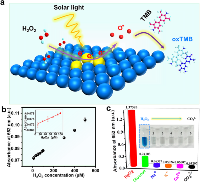 Ultrathin Palladium Nanozymes: Light-Activated Peroxidase Mimicry for Precision Catalysis