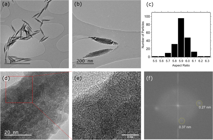 How Growth Directors Shape Hematite Nanorods: A Hydrothermal Synthesis Study