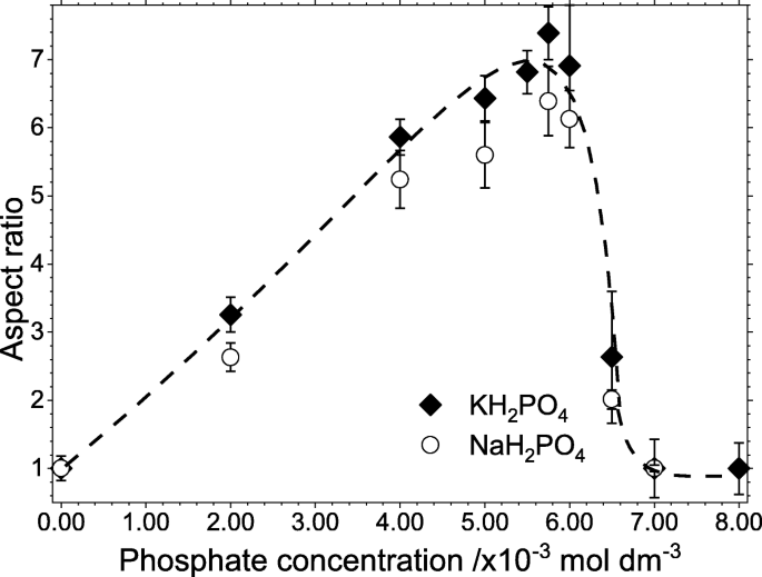 How Growth Directors Shape Hematite Nanorods: A Hydrothermal Synthesis Study