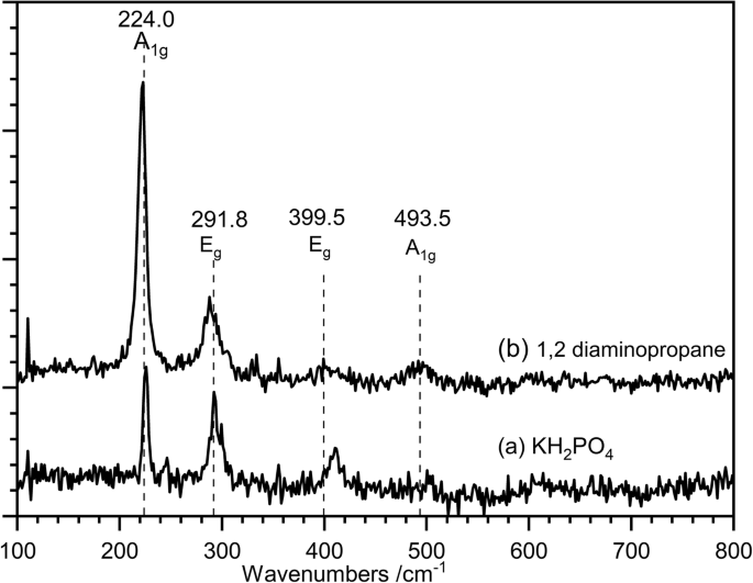 How Growth Directors Shape Hematite Nanorods: A Hydrothermal Synthesis Study