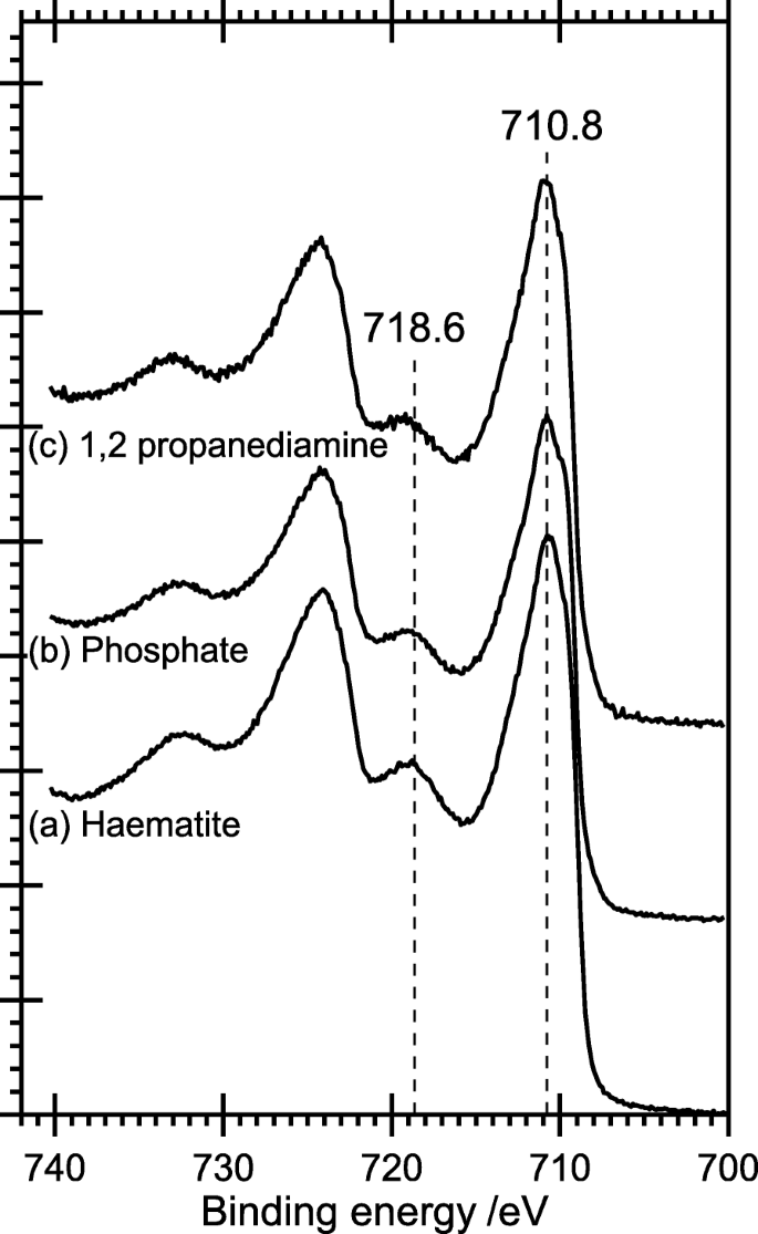 How Growth Directors Shape Hematite Nanorods: A Hydrothermal Synthesis Study