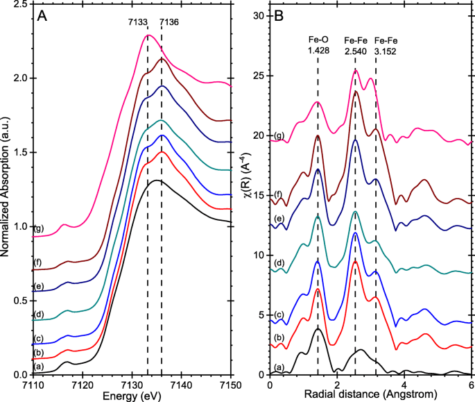 How Growth Directors Shape Hematite Nanorods: A Hydrothermal Synthesis Study