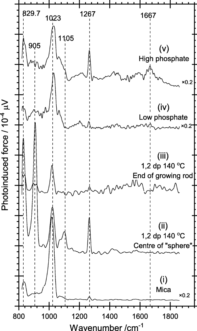 How Growth Directors Shape Hematite Nanorods: A Hydrothermal Synthesis Study