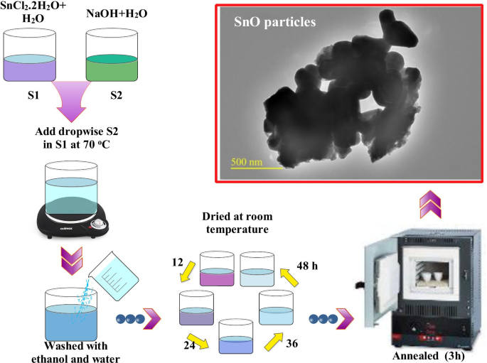 Enhanced Photocatalytic and Antibacterial Performance of Annealed Tin Oxide Nanostructures: A Molecular Docking Study
