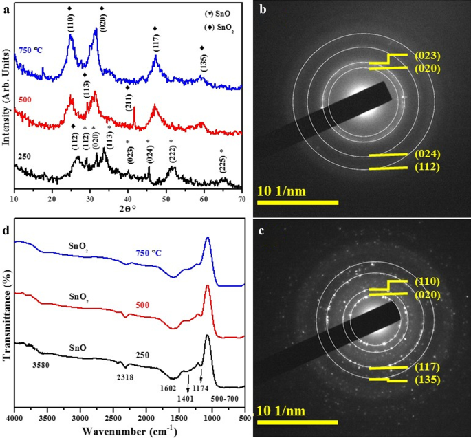 Enhanced Photocatalytic and Antibacterial Performance of Annealed Tin Oxide Nanostructures: A Molecular Docking Study