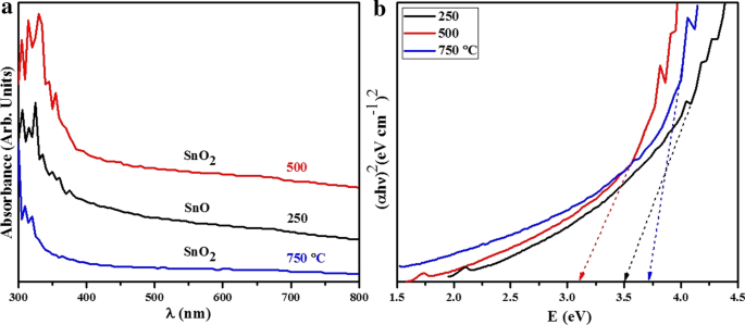 Enhanced Photocatalytic and Antibacterial Performance of Annealed Tin Oxide Nanostructures: A Molecular Docking Study