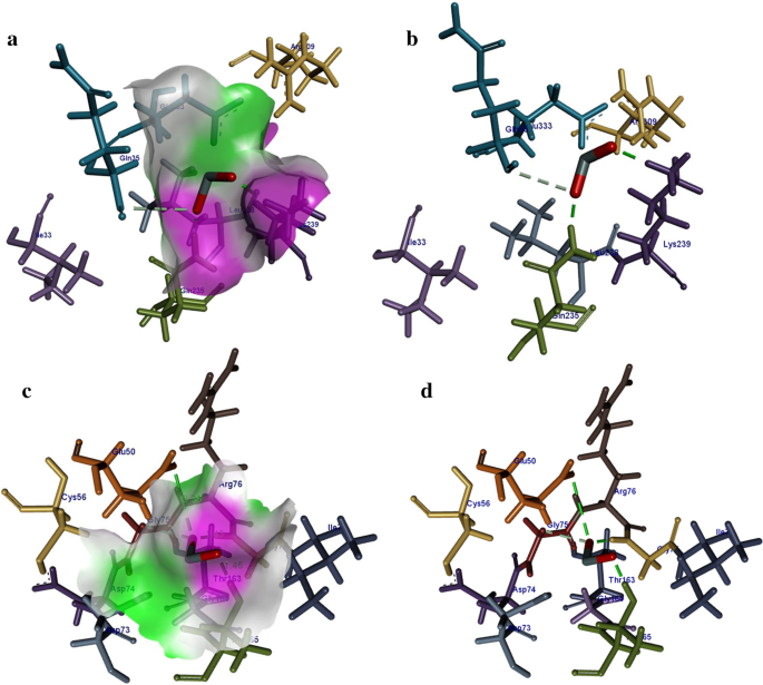 Enhanced Photocatalytic and Antibacterial Performance of Annealed Tin Oxide Nanostructures: A Molecular Docking Study