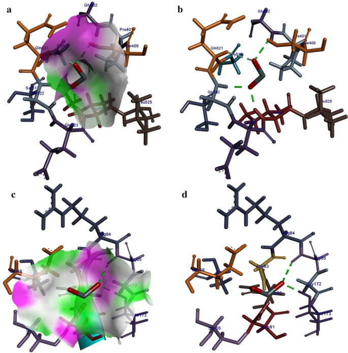 Enhanced Photocatalytic and Antibacterial Performance of Annealed Tin Oxide Nanostructures: A Molecular Docking Study