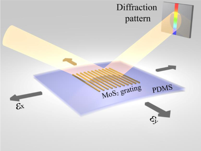 Precision Biaxial Strain Sensor Leveraging a Single MoS₂ Grating