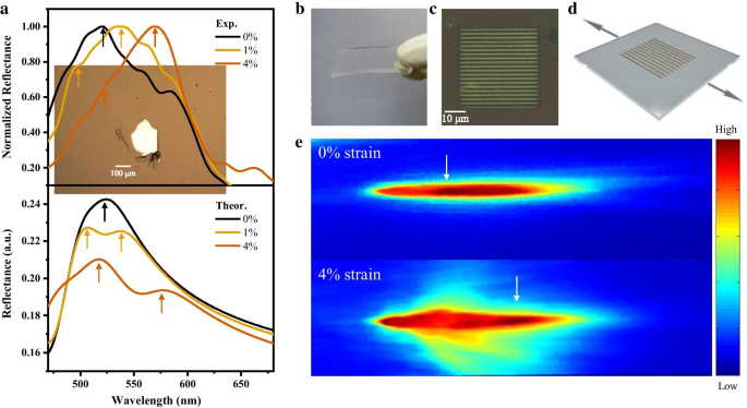 Precision Biaxial Strain Sensor Leveraging a Single MoS₂ Grating