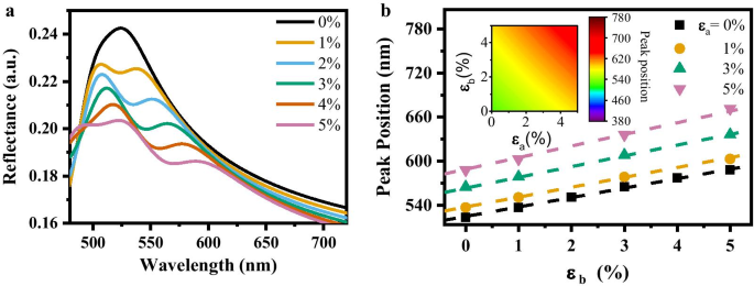 Precision Biaxial Strain Sensor Leveraging a Single MoS₂ Grating