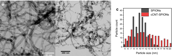 Hybrid CNT–Iron Oxide Nanoparticle Composite: A Stable Mixed-Mode Chromatography Material for Biomolecule Separation