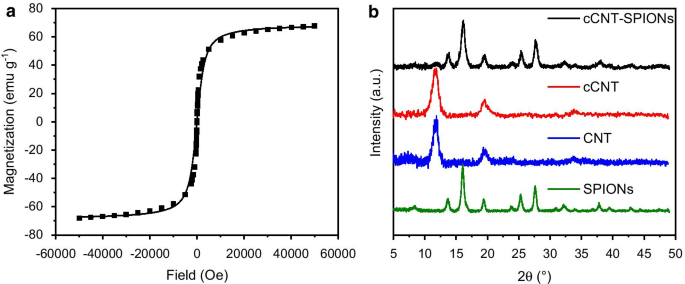 Hybrid CNT–Iron Oxide Nanoparticle Composite: A Stable Mixed-Mode Chromatography Material for Biomolecule Separation