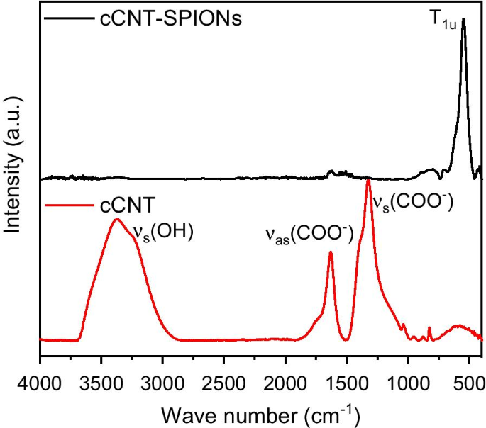 Hybrid CNT–Iron Oxide Nanoparticle Composite: A Stable Mixed-Mode Chromatography Material for Biomolecule Separation