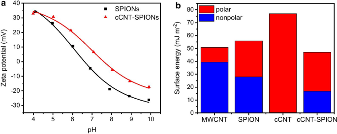 Hybrid CNT–Iron Oxide Nanoparticle Composite: A Stable Mixed-Mode Chromatography Material for Biomolecule Separation