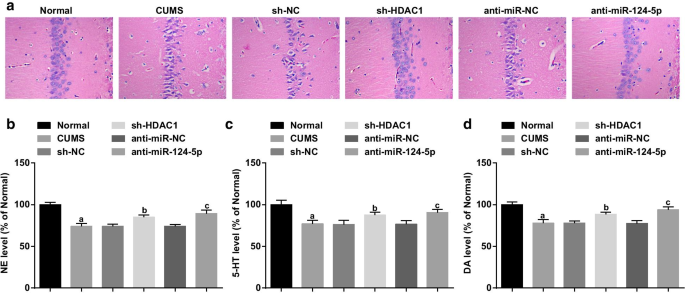 HDAC1 Regulates miR‑124‑5p and NPY to Modulate Learning and Memory in Depressive Rat Models