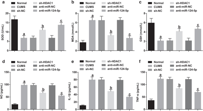 HDAC1 Regulates miR‑124‑5p and NPY to Modulate Learning and Memory in Depressive Rat Models