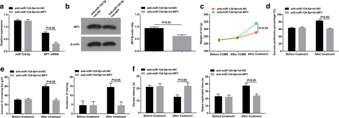 HDAC1 Regulates miR‑124‑5p and NPY to Modulate Learning and Memory in Depressive Rat Models