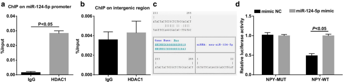 HDAC1 Regulates miR‑124‑5p and NPY to Modulate Learning and Memory in Depressive Rat Models