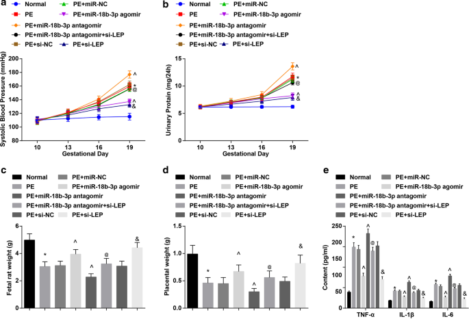 Exosomal miR‑18b‑3p from Human Umbilical Cord MSCs Lowers Preeclampsia Risk by Targeting Leptin