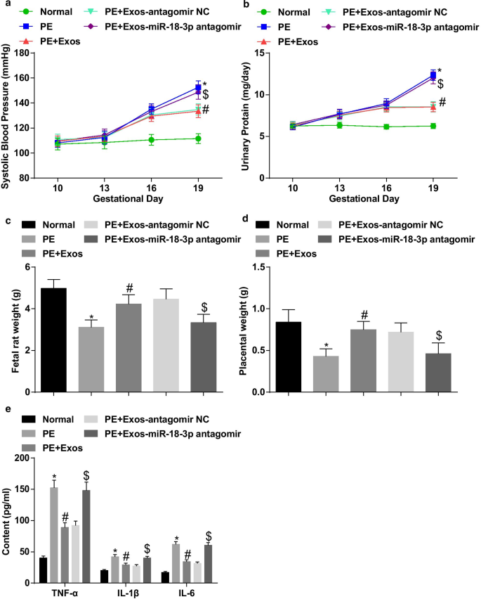 Exosomal miR‑18b‑3p from Human Umbilical Cord MSCs Lowers Preeclampsia Risk by Targeting Leptin