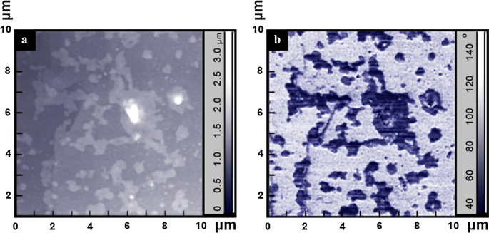 Unveiling Boron–Carbon Bilayer Islands in Boron-Doped Diamond: The Key to Stepwise Tensile Stress