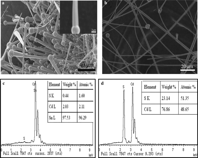 Enhancing Photoluminescence and Electron–Phonon Coupling in Sn(IV)-Doped CdS Nanowires: Impact of Dopant Concentration