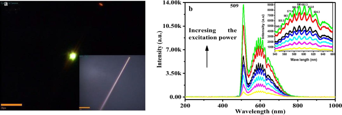 Enhancing Photoluminescence and Electron–Phonon Coupling in Sn(IV)-Doped CdS Nanowires: Impact of Dopant Concentration