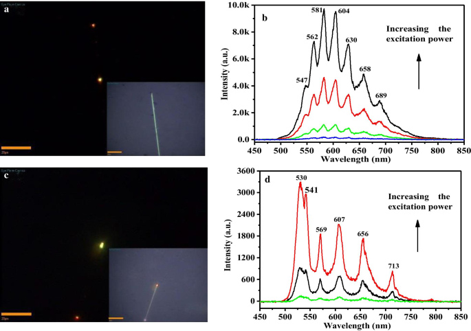 Enhancing Photoluminescence and Electron–Phonon Coupling in Sn(IV)-Doped CdS Nanowires: Impact of Dopant Concentration
