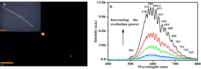 Enhancing Photoluminescence and Electron–Phonon Coupling in Sn(IV)-Doped CdS Nanowires: Impact of Dopant Concentration