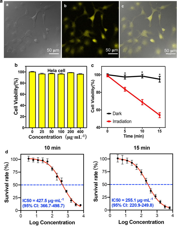 Eco-Friendly Microplasma Synthesis of Yellow-Emitting Carbon Quantum Dots for Cancer Cell Imaging and Photocatalytic Inactivation