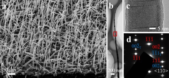 Enhanced Low-Light Sensitivity: End-Bonded InAsSb Nanowire Array Photodetectors