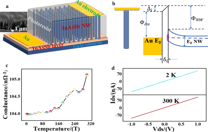 Enhanced Low-Light Sensitivity: End-Bonded InAsSb Nanowire Array Photodetectors