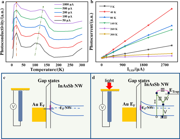 Enhanced Low-Light Sensitivity: End-Bonded InAsSb Nanowire Array Photodetectors
