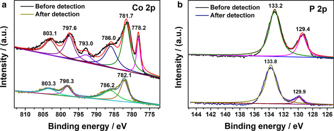 Cobalt Phosphide Nanoparticles: A Robust Electrocatalyst for Sensitive, Enzymeless Hydrogen Peroxide Detection