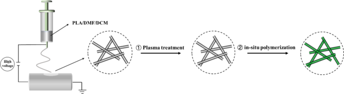Enhancing Biocompatibility of Polyaniline/Polylactic Acid Nanofiber Scaffolds through Controlled Surface Morphology via Inorganic Acid Doping