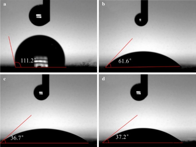 Enhancing Biocompatibility of Polyaniline/Polylactic Acid Nanofiber Scaffolds through Controlled Surface Morphology via Inorganic Acid Doping