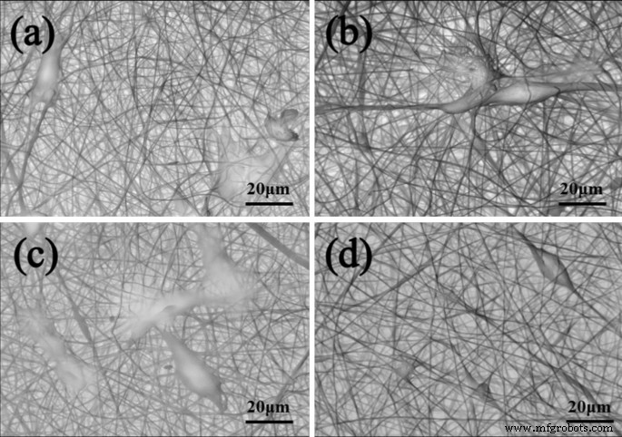 Enhancing Biocompatibility of Polyaniline/Polylactic Acid Nanofiber Scaffolds through Controlled Surface Morphology via Inorganic Acid Doping
