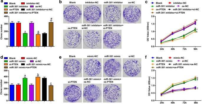 Targeting miR‑301 Suppresses Angiogenesis and Tumor Growth in Esophageal Squamous Cell Carcinoma via PTEN Activation