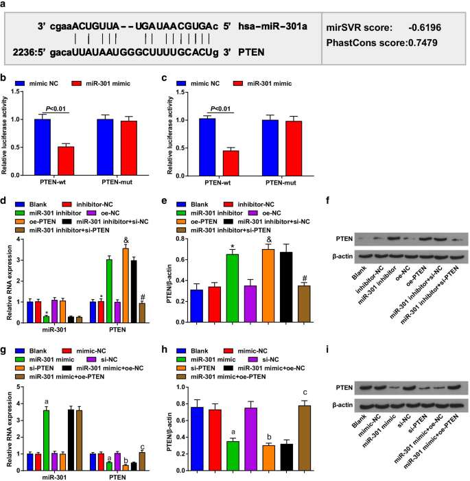 Targeting miR‑301 Suppresses Angiogenesis and Tumor Growth in Esophageal Squamous Cell Carcinoma via PTEN Activation