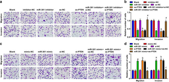 Targeting miR‑301 Suppresses Angiogenesis and Tumor Growth in Esophageal Squamous Cell Carcinoma via PTEN Activation