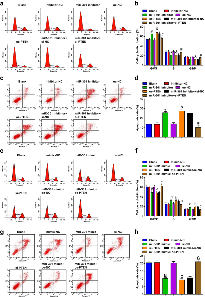 Targeting miR‑301 Suppresses Angiogenesis and Tumor Growth in Esophageal Squamous Cell Carcinoma via PTEN Activation
