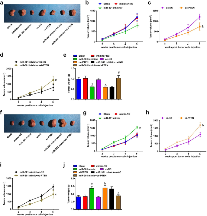 Targeting miR‑301 Suppresses Angiogenesis and Tumor Growth in Esophageal Squamous Cell Carcinoma via PTEN Activation