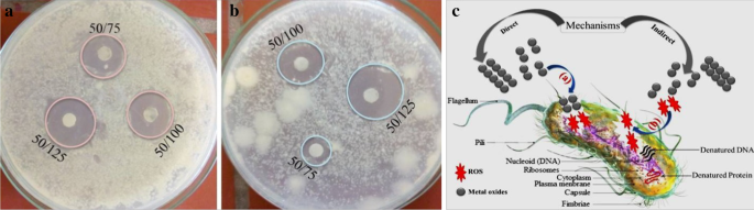 PVA-Enhanced Zn‑Fe‑Mn Oxide Nanocomposite: Multifunctional Platform for Catalysis, Sensing, and Antibacterial Applications