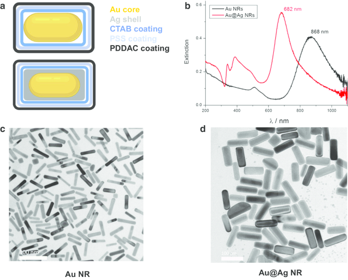 Investigating ROS and Cell Cycle Arrest in the Genotoxic Effects of Gold Nanorod Core/Silver Shell Nanostructures
