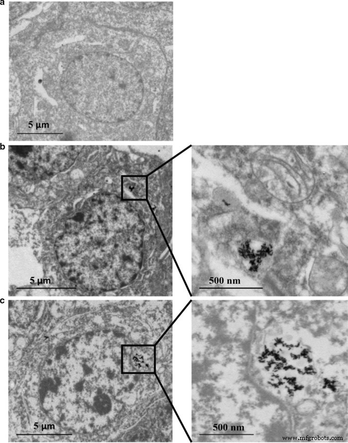 Investigating ROS and Cell Cycle Arrest in the Genotoxic Effects of Gold Nanorod Core/Silver Shell Nanostructures