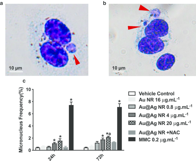 Investigating ROS and Cell Cycle Arrest in the Genotoxic Effects of Gold Nanorod Core/Silver Shell Nanostructures